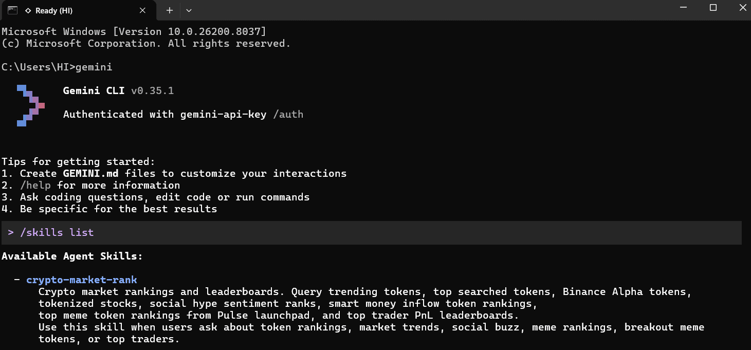 binance skills hub gemini cli load.png